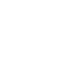 Government White